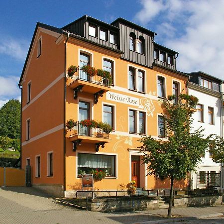 Pension Weisse Rose, Parkplatz, Fruehstueck, Wlan, Zentral Bad Elster Exterior photo