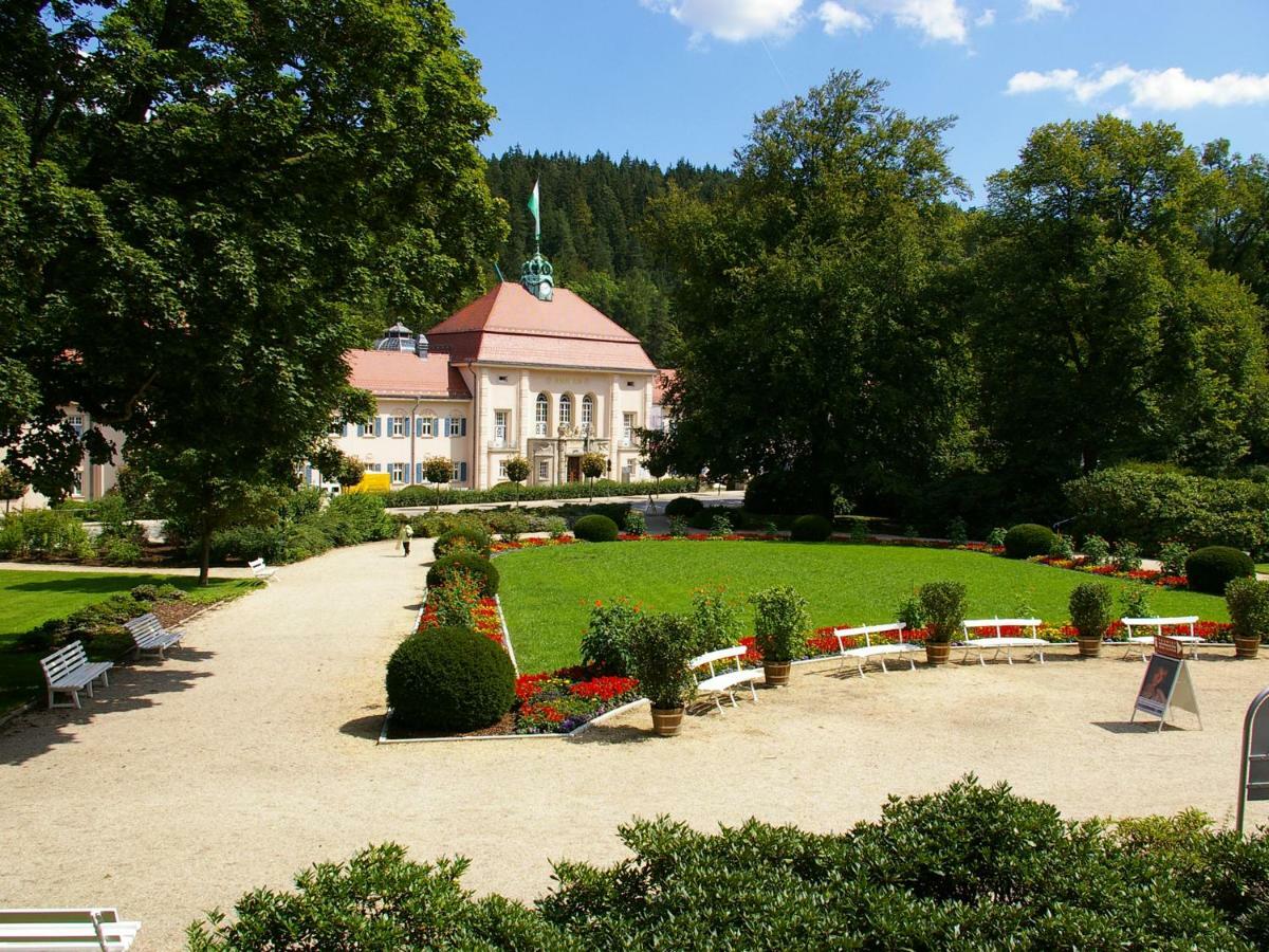 Pension Weisse Rose, Parkplatz, Fruehstueck, Wlan, Zentral Bad Elster Exterior photo